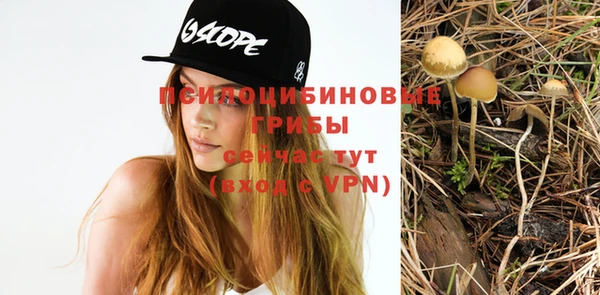 ГАЛЛЮЦИНОГЕННЫЕ ГРИБЫ Баксан