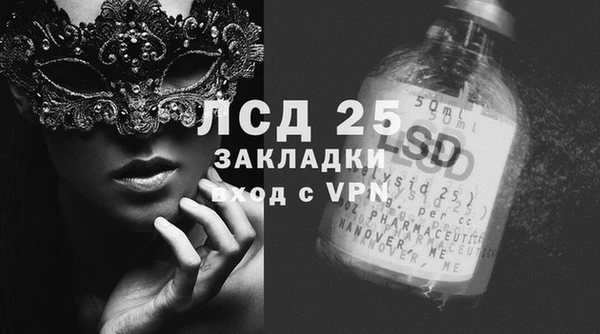 ГАЛЛЮЦИНОГЕННЫЕ ГРИБЫ Баксан