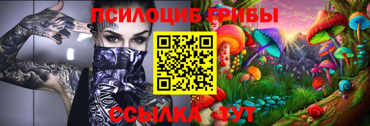 Псилоцибиновые грибы мицелий Городец