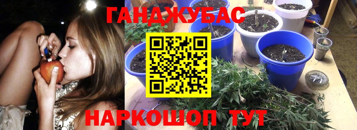 Бошки марихуана SATIVA & INDICA  Бошки марихуана гибрид  Городец  Вход с VPN  Конопля VHQ  Канабис индика 